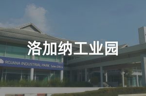 未命名图片_2026（1）